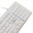 WHITE SHARK TACHI-W/US WS GK-003241W-US gamer billentyűzet, 104 gomb fehér (angol) thumbnail