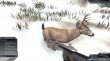 Deer Hunter Reloaded thumbnail