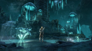 The Elder Scrolls Online: Greymoor Collector’s Edition Upgrade PS4