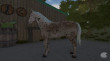 My Little Riding Champion thumbnail