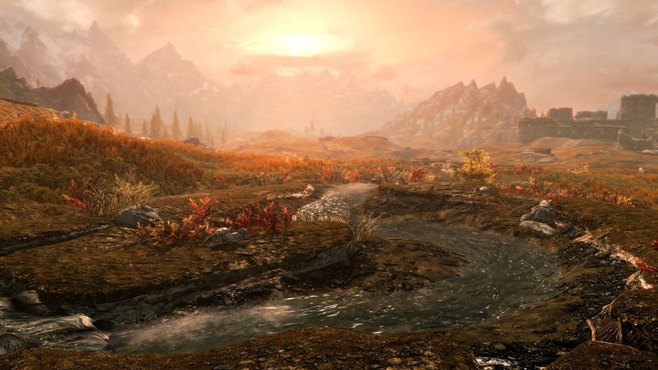 The Elder Scrolls V: Skyrim Nintendo Switch