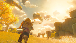 The Legend of Zelda: Breath of the Wild 2 Nintendo Switch
